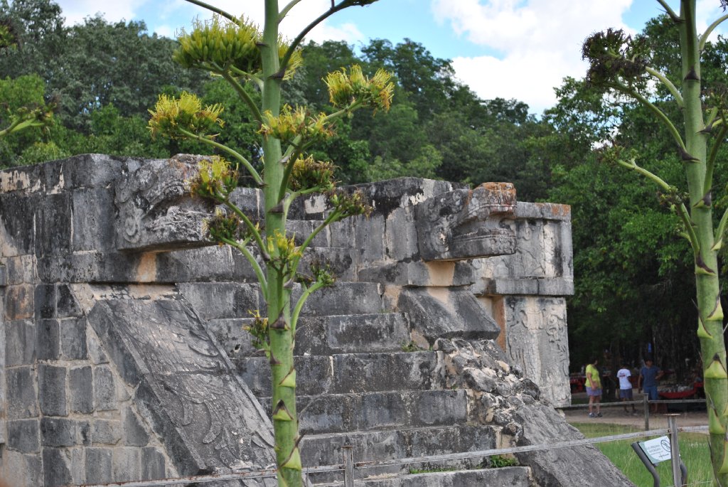 Eastern Caribbean Chichen Itza Carnival Breeze