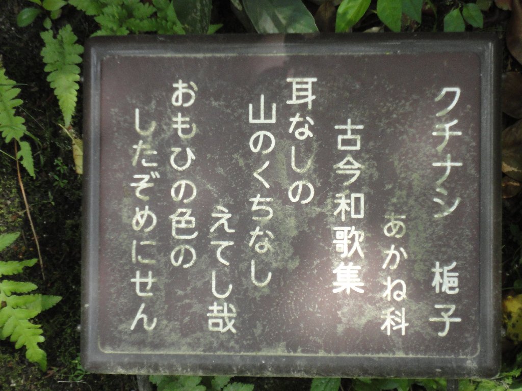 Etsuko's Snapshots of Japan 2012