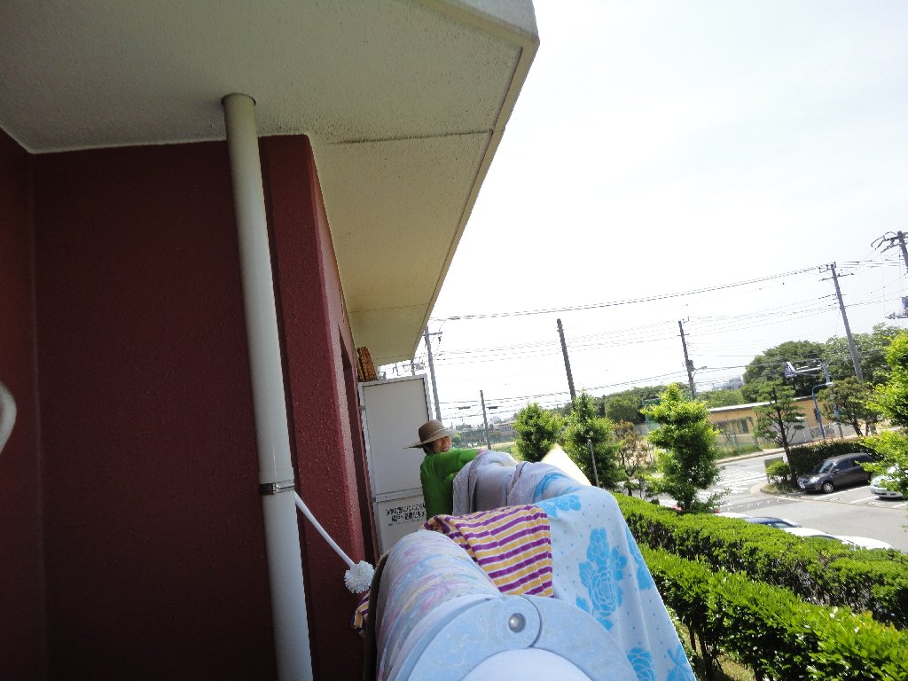 Etsuko's Snapshots of Japan 2012