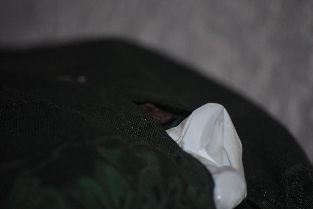 My Little Lizards -  2014