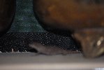 Thumb for DSC_1759.JPG (78 
KB)