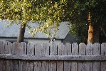 Thumb for DSC_1785.JPG (153 
KB)