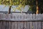 Thumb for DSC_1786.JPG (154 
KB)