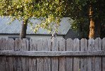 Thumb for DSC_1787.JPG (154 
KB)