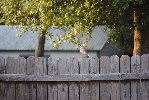 Thumb for DSC_1790.JPG (151 
KB)