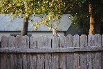 Thumb for DSC_1791.JPG (152 
KB)