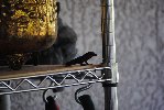 Thumb for DSC_1803.JPG (107 
KB)