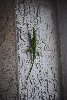 Thumb for DSC_1818.JPG (95 
KB)