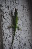 Thumb for DSC_1819.JPG (86 
KB)