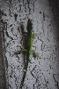 Thumb for DSC_1820.JPG (83 
KB)