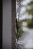 Thumb for DSC_1868.JPG (91 
KB)