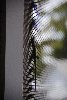 Thumb for DSC_1869.JPG (84 
KB)