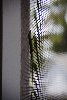 Thumb for DSC_1871.JPG (91 
KB)