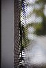 Thumb for DSC_1872.JPG (88 
KB)