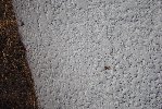 Thumb for DSC_2150.JPG (183 
KB)
