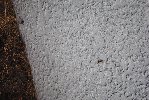Thumb for DSC_2151.JPG (183 
KB)
