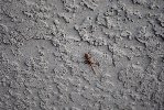 Thumb for DSC_2152.JPG (153 
KB)