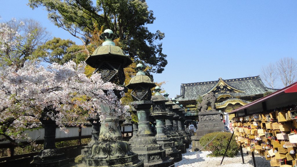 Tokyo Travel 2019