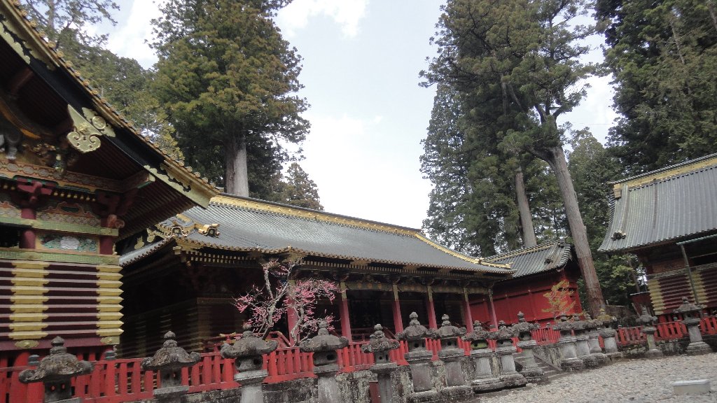 Tokyo Travel 2019