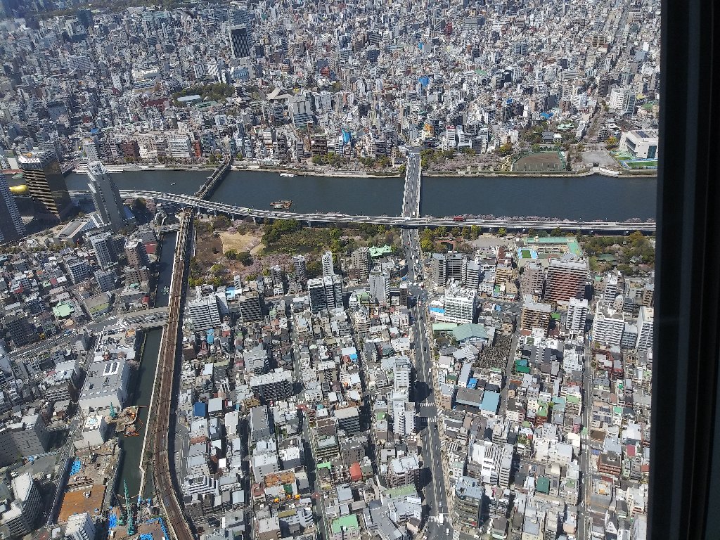 Tokyo Travel 2019
